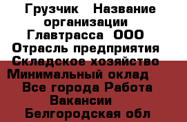 Грузчик › Название организации ­ Главтрасса, ООО › Отрасль предприятия ­ Складское хозяйство › Минимальный оклад ­ 1 - Все города Работа » Вакансии   . Белгородская обл.